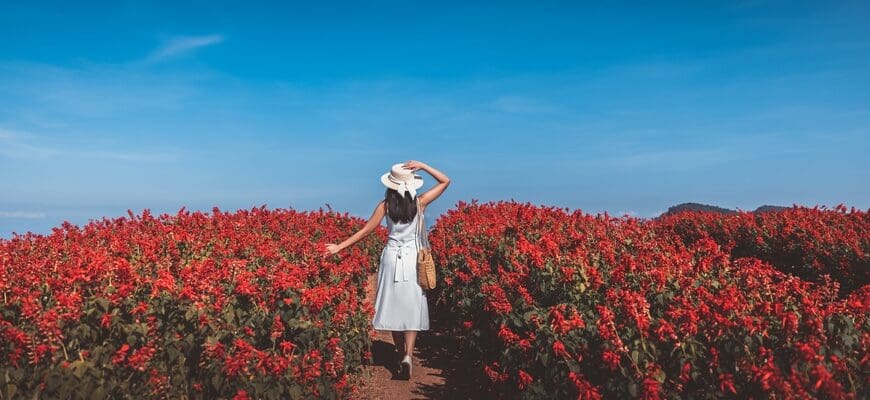 Winter,Travel,Relax,Vacation,Concept,,Young,Happy,Traveler,Asian,Woman